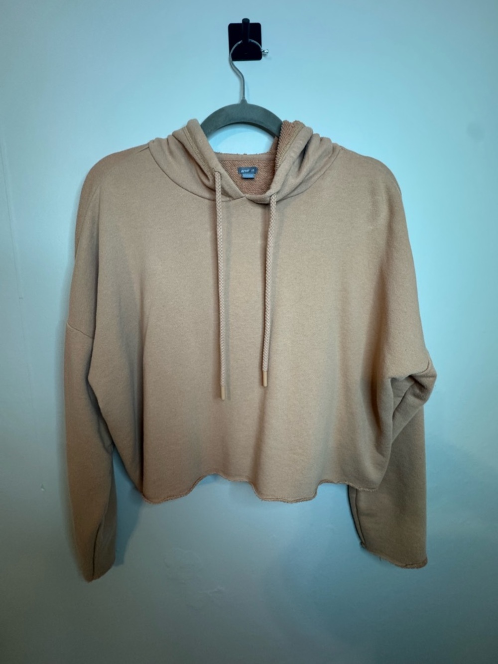 aerie Rust-Tone Terry Pullover Hoodie